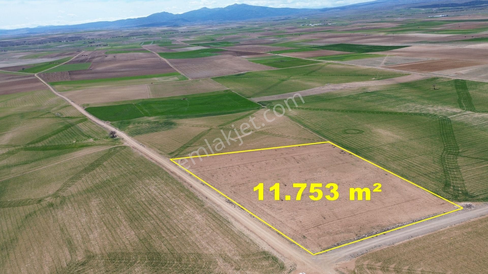 Konya / Meram / Kavak Mahallesinde 11.753 M² Müstakil Tapulu Tarla - Görsel 3