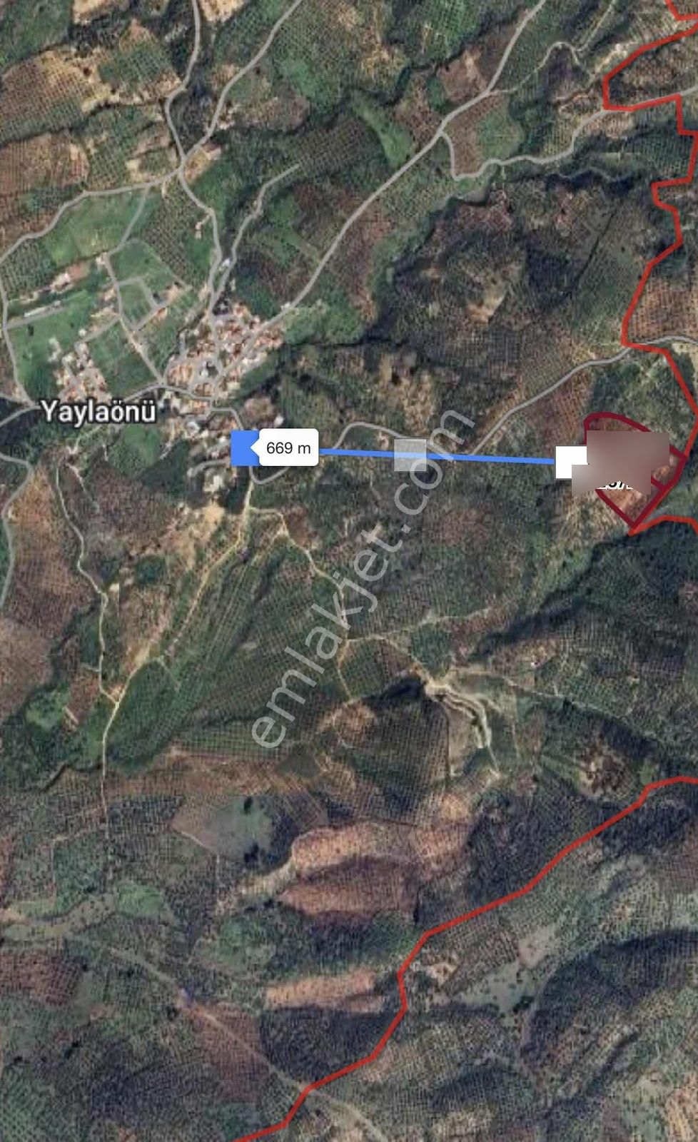 Edremit Yaylaönü Köyüne 600m 27.200m2 Satılık Zeytinlik - Görsel 2