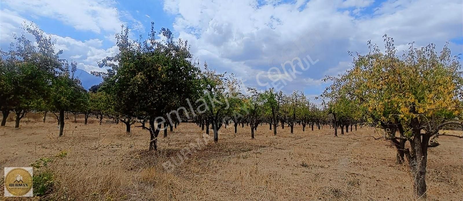 Bursa Yıldırım Vakıf Mahallesinde Satılık Armut Bahçesi - Görsel 11
