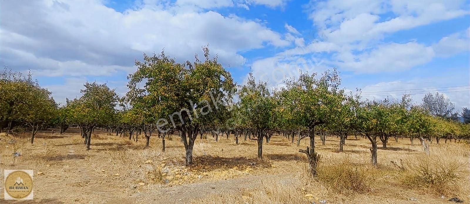 Bursa Yıldırım Vakıf Mahallesinde Satılık Armut Bahçesi - Görsel 5