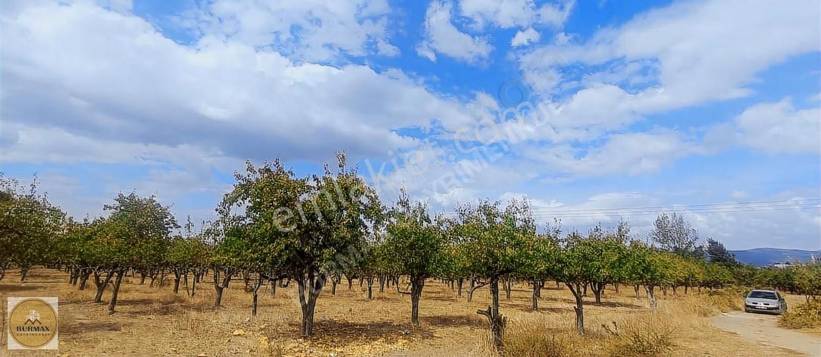 Bursa Yıldırım Vakıf Mahallesinde Satılık Armut Bahçesi - Görsel 2