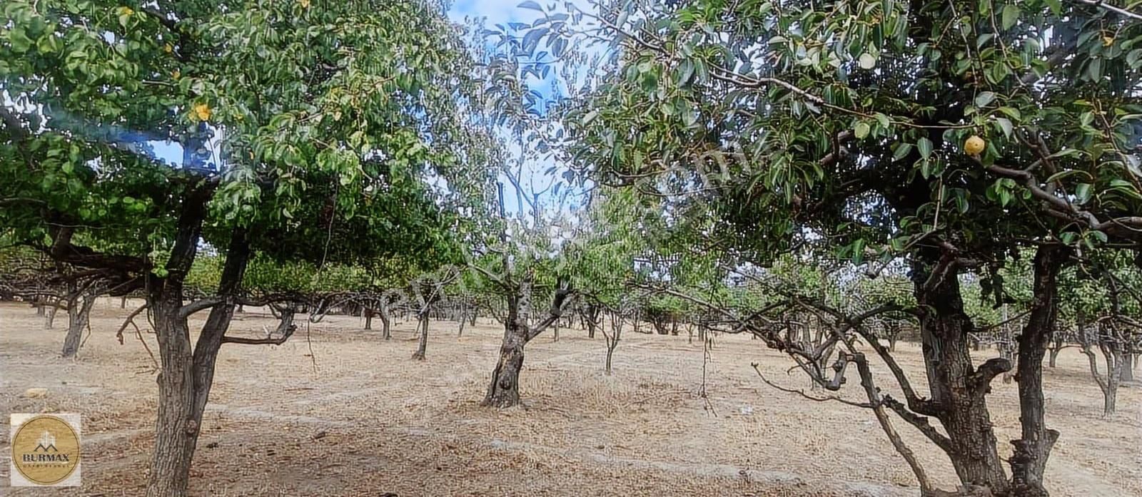 Bursa Yıldırım Vakıf Mahallesinde Satılık Armut Bahçesi - Görsel 18