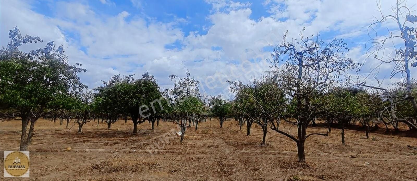 Bursa Yıldırım Vakıf Mahallesinde Satılık Armut Bahçesi