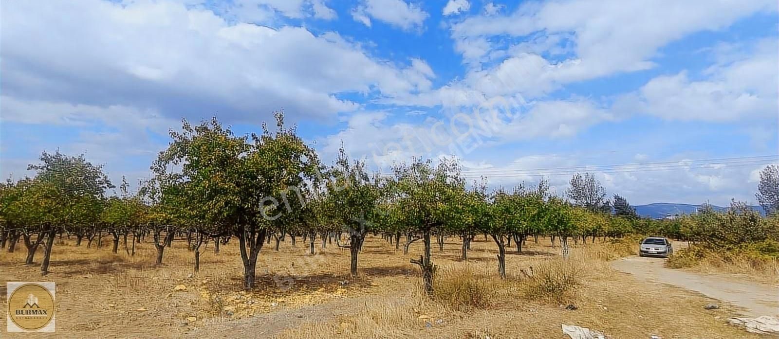 Bursa Yıldırım Vakıf Mahallesinde Satılık Armut Bahçesi - Görsel 13