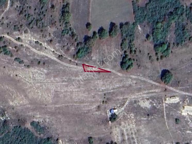 Kocaeli Kandıra Çakmaklar Köyünde 182 M² Tarla Satılıktır