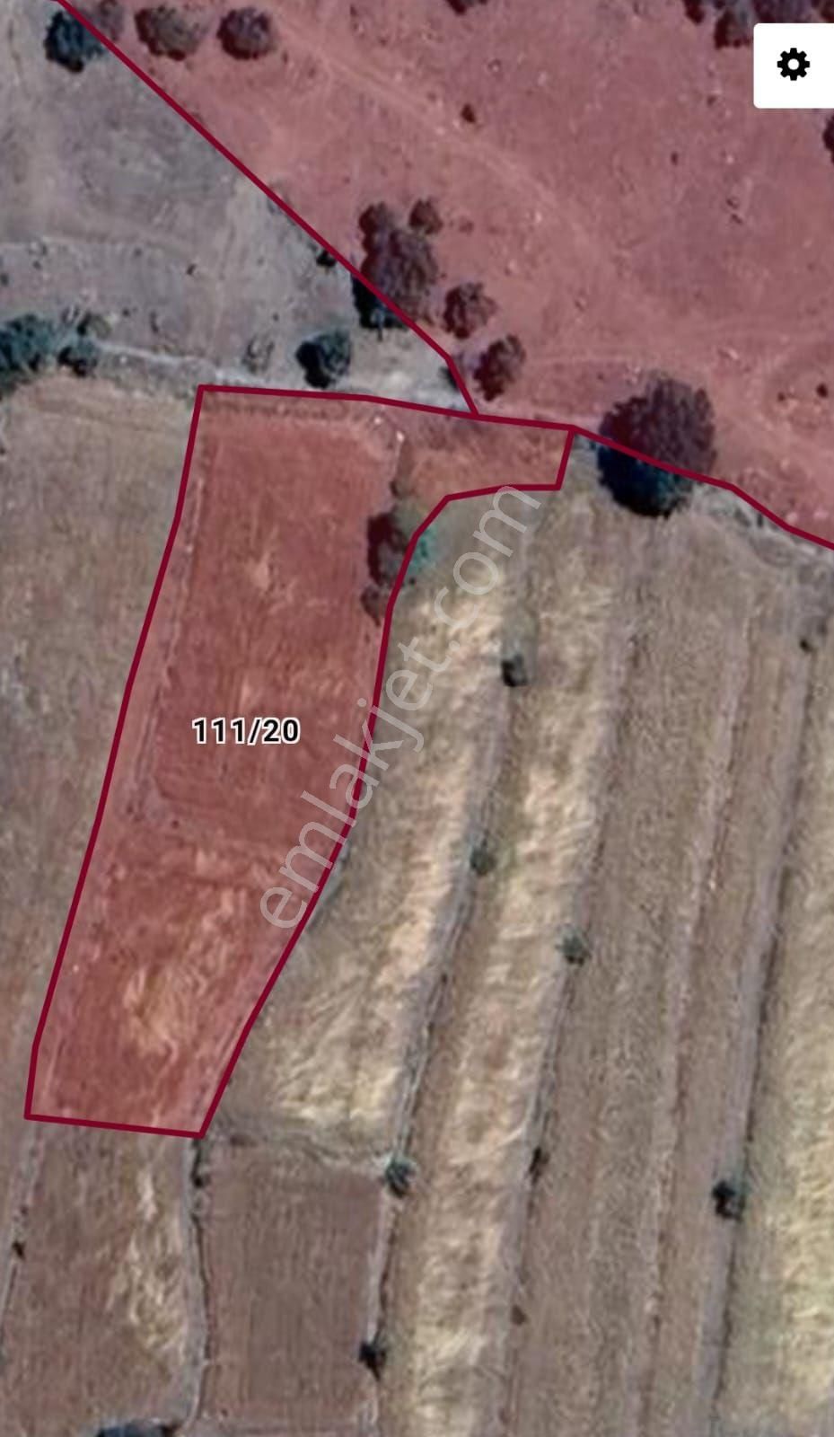 🎯çukurçimende 2.271 Metre Müstakil Tapulu Tarla Niteliğinde Bahçe🌲 - Görsel 2