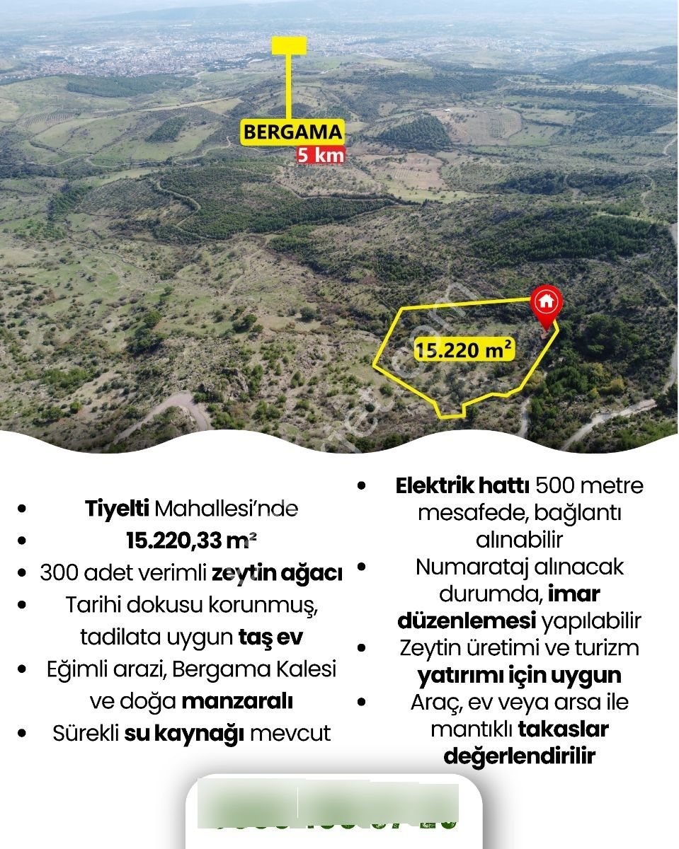 Satılık Eşsiz Doğa Ve Tarih Manzaralı Zeytinlik + Taş Ev - Görsel 16