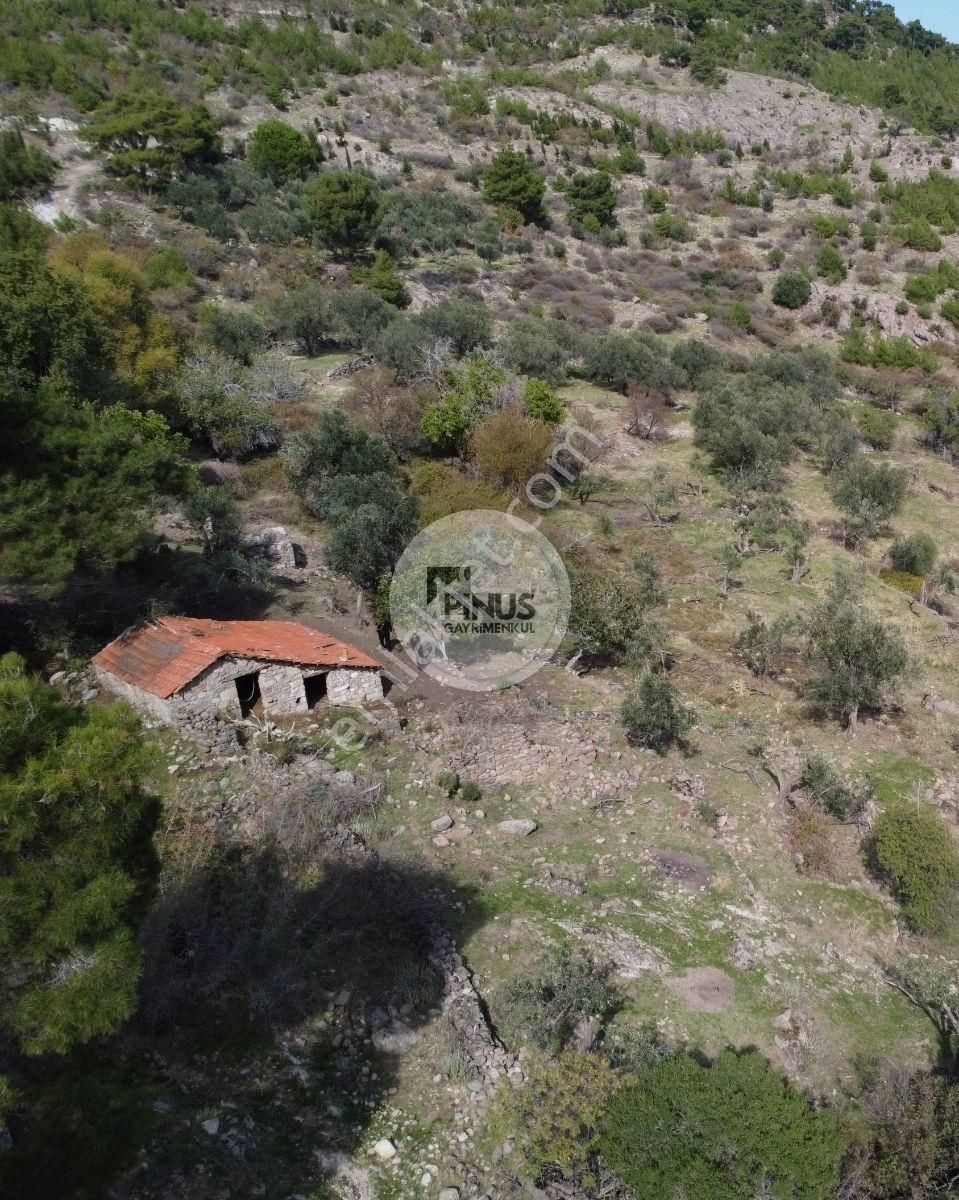 Satılık Eşsiz Doğa Ve Tarih Manzaralı Zeytinlik + Taş Ev - Görsel 18