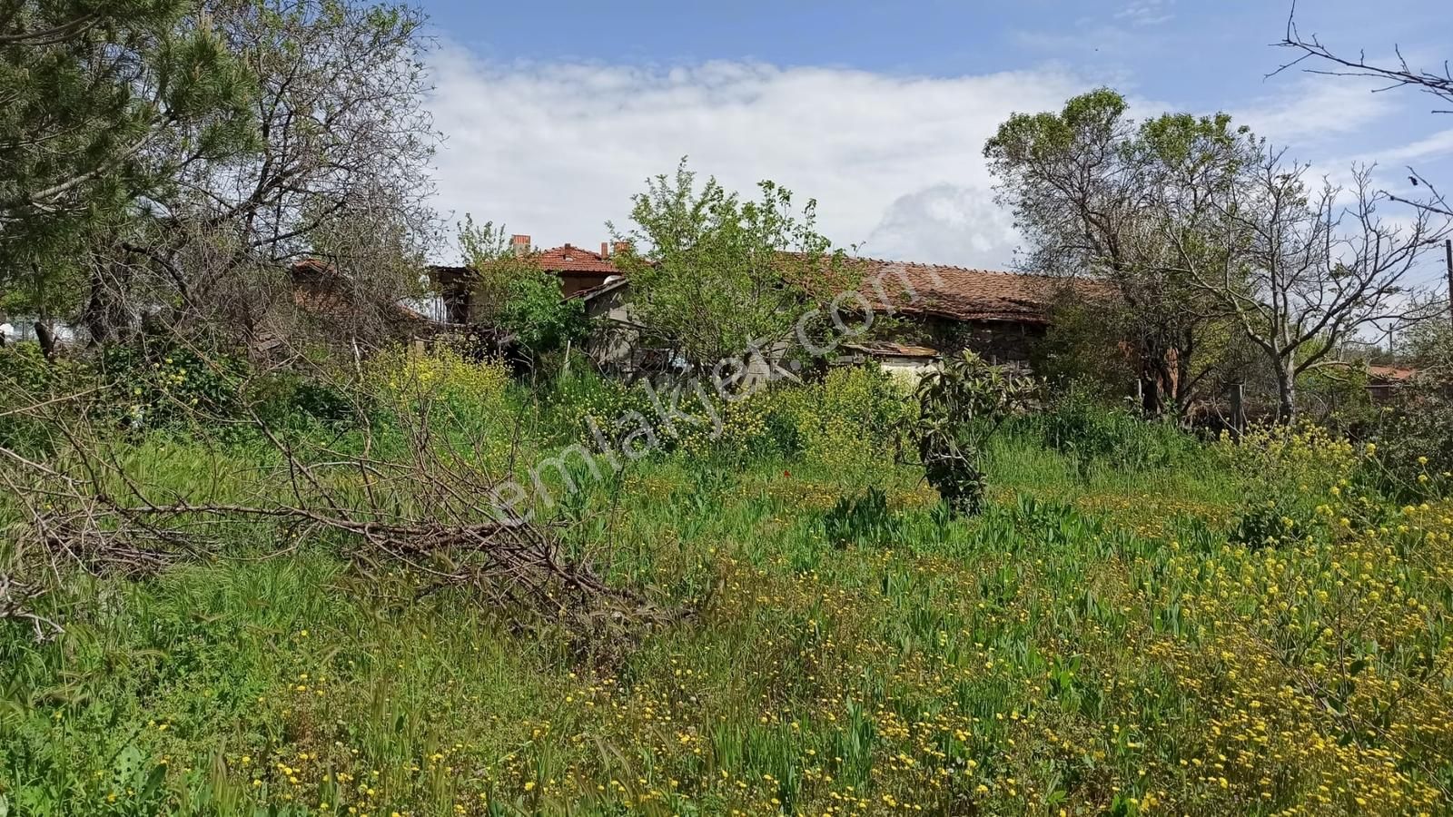 Kepsut İsaalan Köyü'nde 1040 M² Arsa Üzerinde Müstakil Ev - Görsel 4