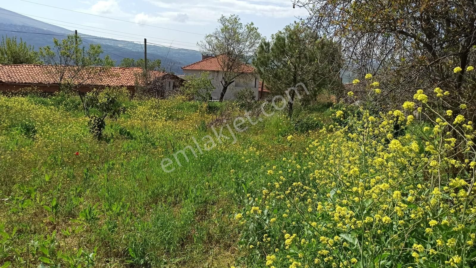 Kepsut İsaalan Köyü'nde 1040 M² Arsa Üzerinde Müstakil Ev - Görsel 14