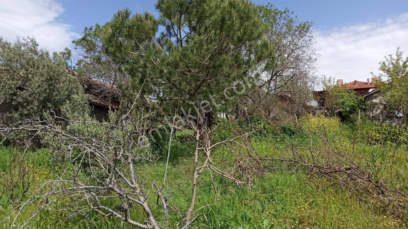 Kepsut İsaalan Köyü'nde 1040 M² Arsa Üzerinde Müstakil Ev - Görsel 19