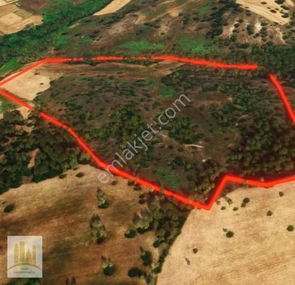 Bursa Orhaneli Dereköyde 74 Dönüm Satılık Tarla