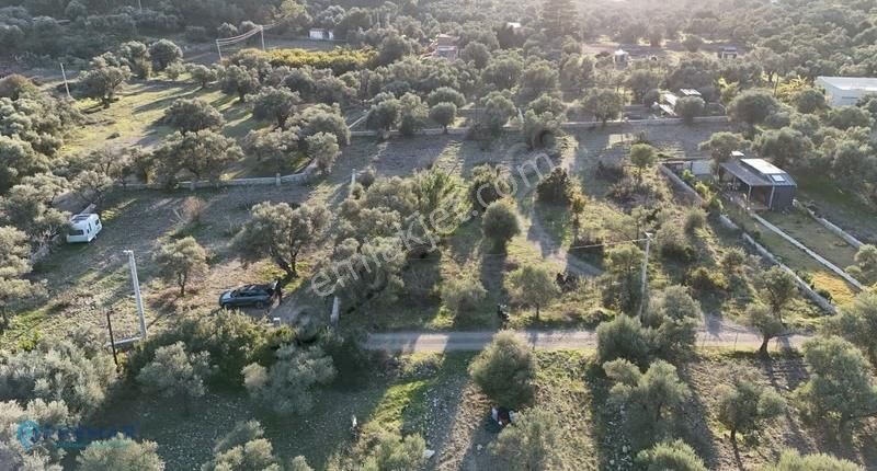 Premar Datça Mesudiye Hayıtbükü Sahili'ne Çok Yakın İncirlik - Görsel 12