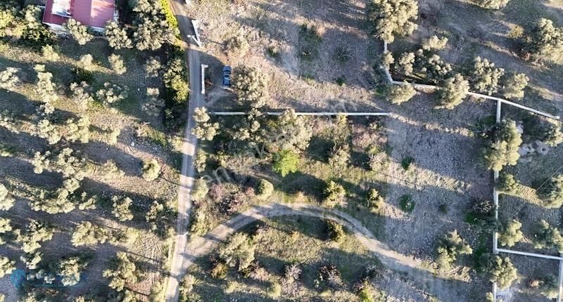 Premar Datça Mesudiye Hayıtbükü Sahili'ne Çok Yakın İncirlik - Görsel 2