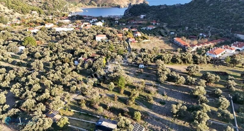 Premar Datça Mesudiye Hayıtbükü Sahili'ne Çok Yakın İncirlik - Görsel 5
