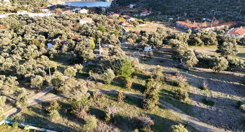 Premar Datça Mesudiye Hayıtbükü Sahili'ne Çok Yakın İncirlik - Görsel 11
