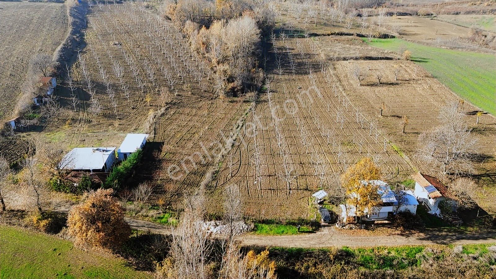 Gündüzlü'de Satılık 9300m2 Ceviz&şeftali Bahçesi Ve 2katlıev+dam - Görsel 18