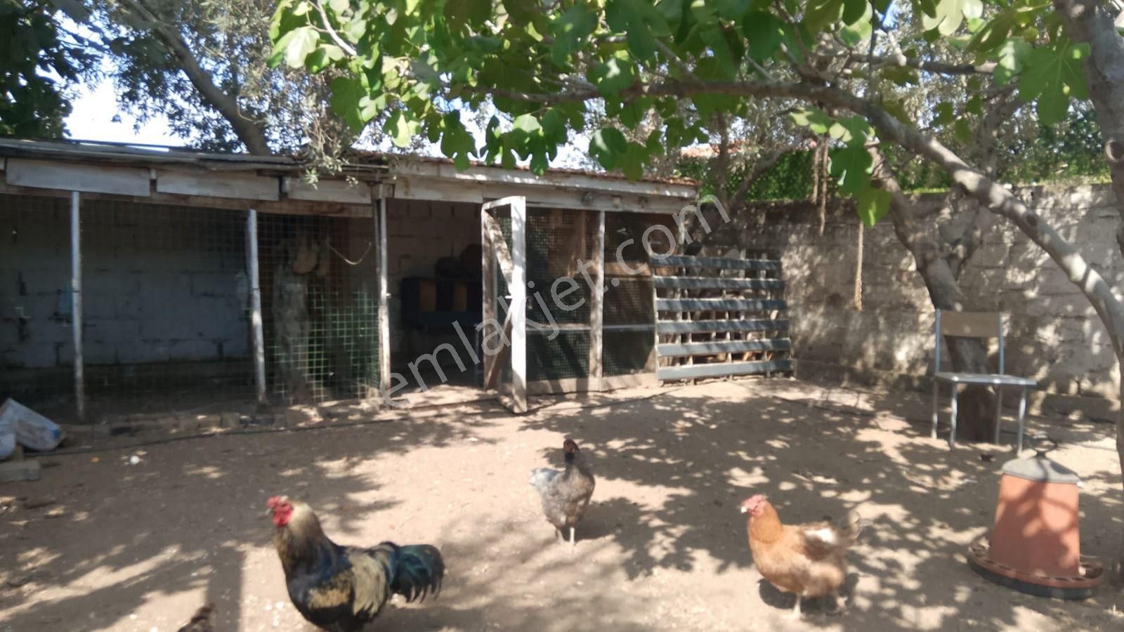 İzmir Bayındır Çırpı Mevkiindeiskanlı – Müstakil Tapulu – Krediye Uygun Satılık - Görsel 20