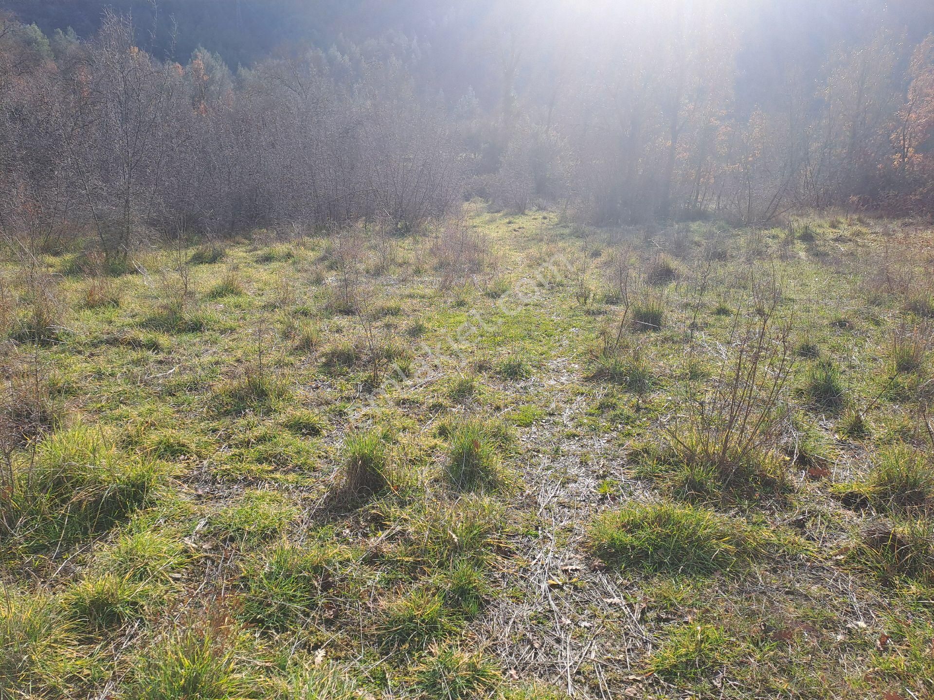 Akseki Usanmaz Emlaktan Satılık 662 M Bağ Yeri - Görsel 19