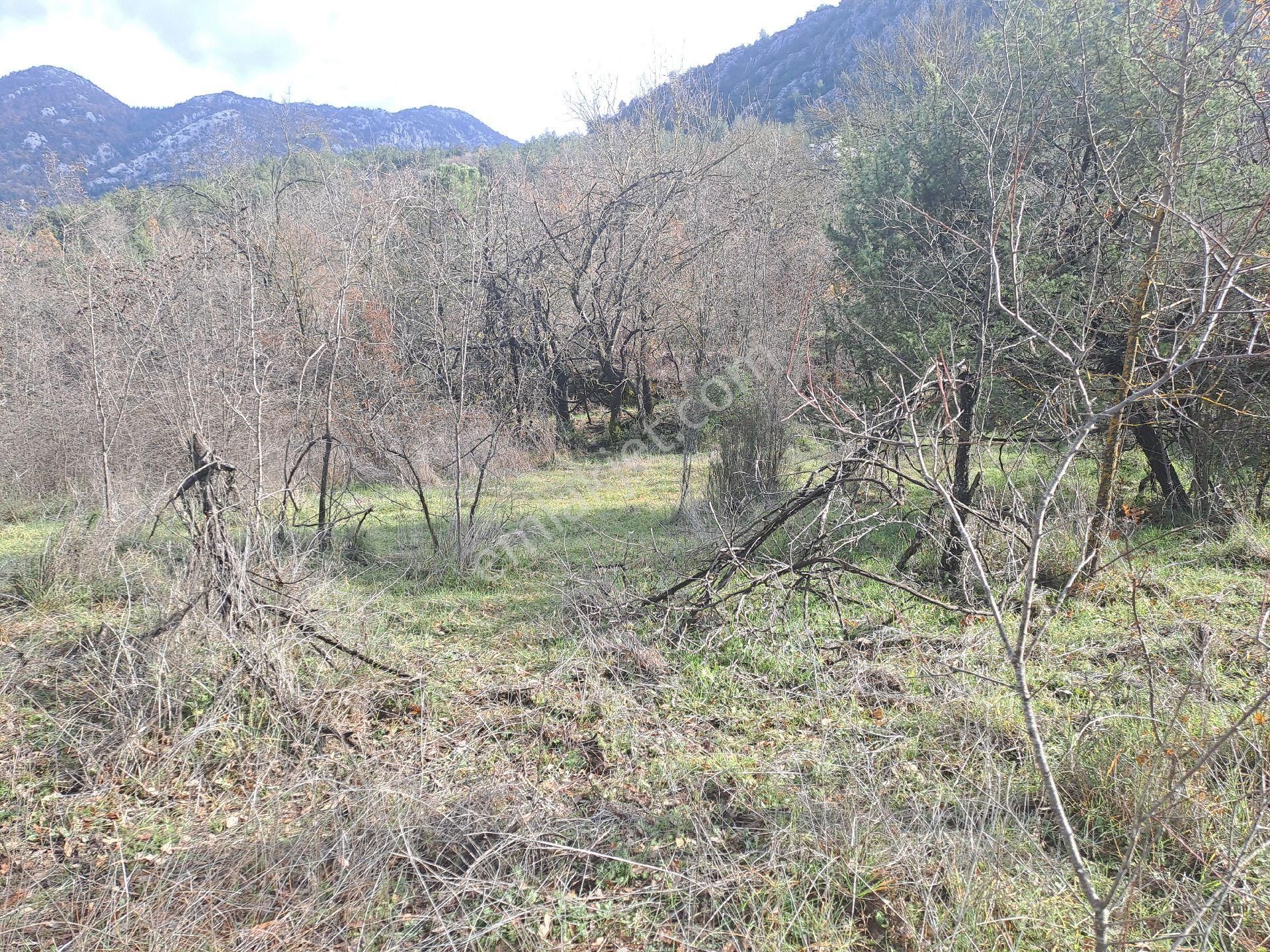 Akseki Usanmaz Emlaktan Satılık 662 M Bağ Yeri - Görsel 13