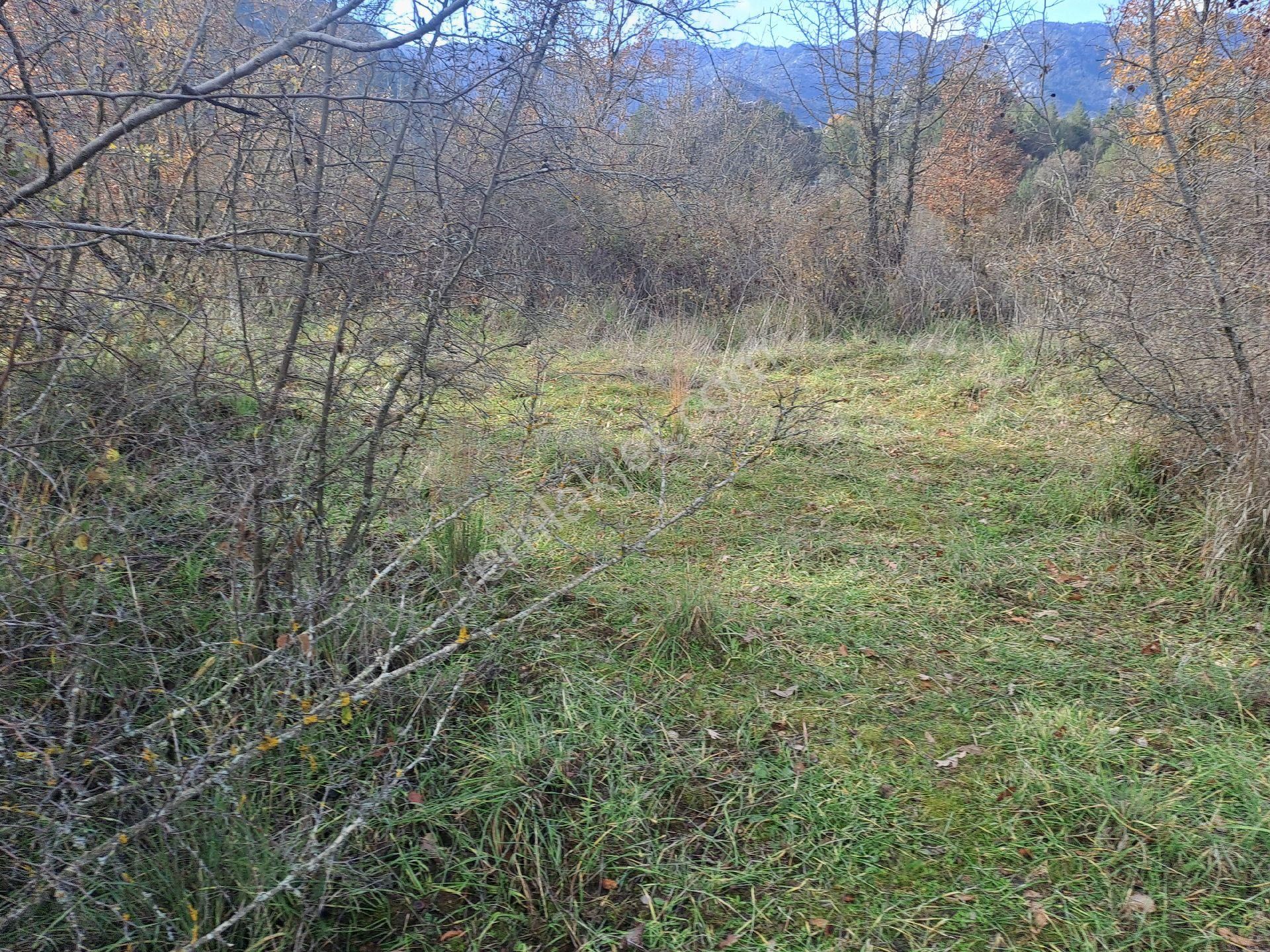 Akseki Usanmaz Emlaktan Satılık 662 M Bağ Yeri - Görsel 8