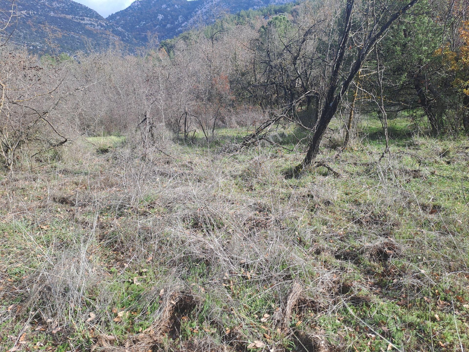 Akseki Usanmaz Emlaktan Satılık 662 M Bağ Yeri - Görsel 6