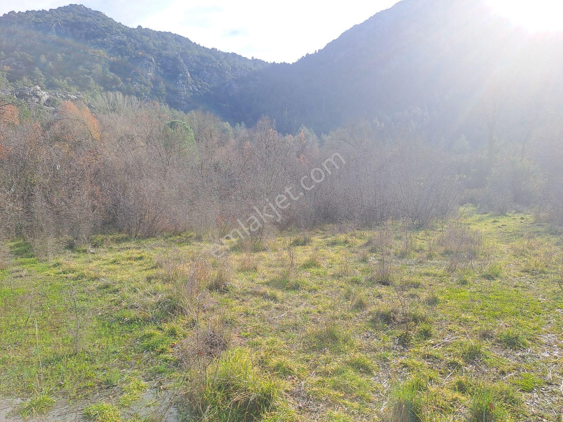 Akseki Usanmaz Emlaktan Satılık 662 M Bağ Yeri - Görsel 15