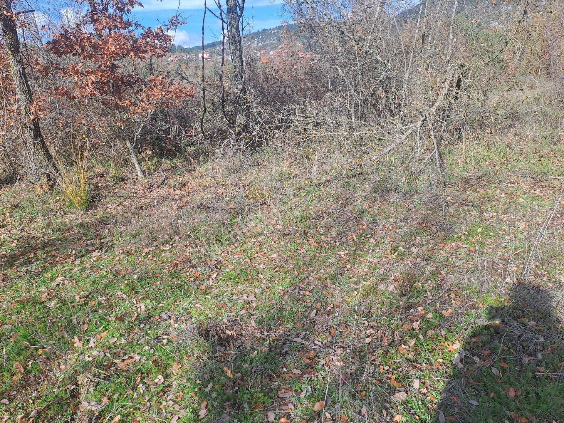 Akseki Usanmaz Emlaktan Satılık 662 M Bağ Yeri - Görsel 5