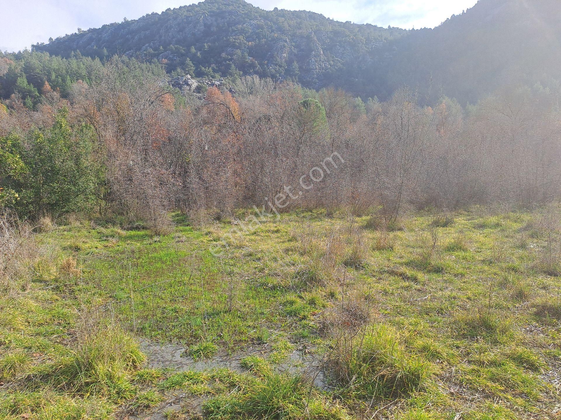 Akseki Usanmaz Emlaktan Satılık 662 M Bağ Yeri - Görsel 18