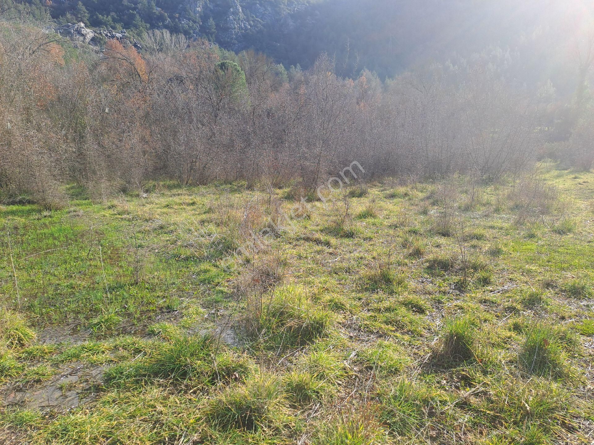 Akseki Usanmaz Emlaktan Satılık 662 M Bağ Yeri - Görsel 16