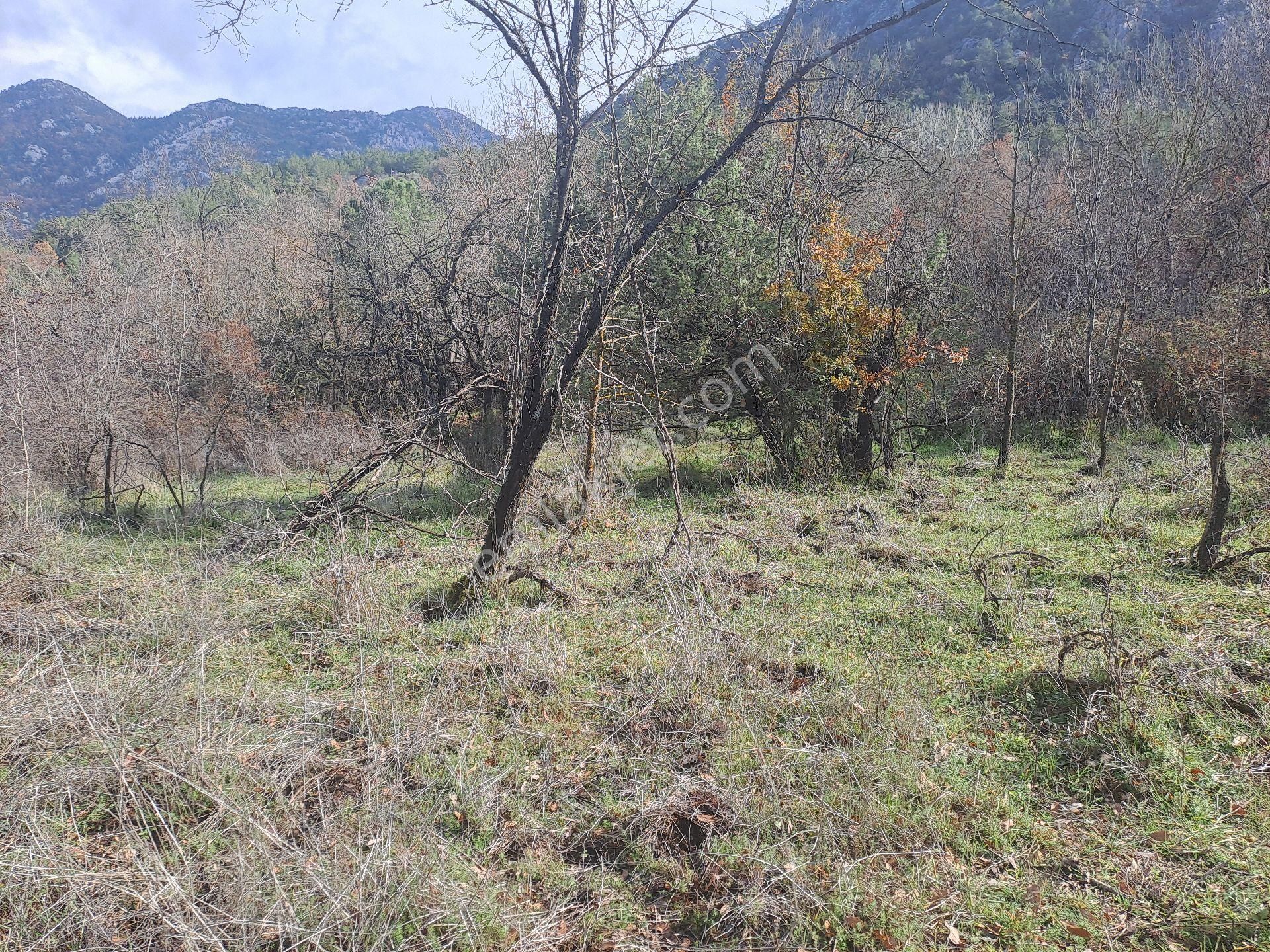 Akseki Usanmaz Emlaktan Satılık 662 M Bağ Yeri - Görsel 2