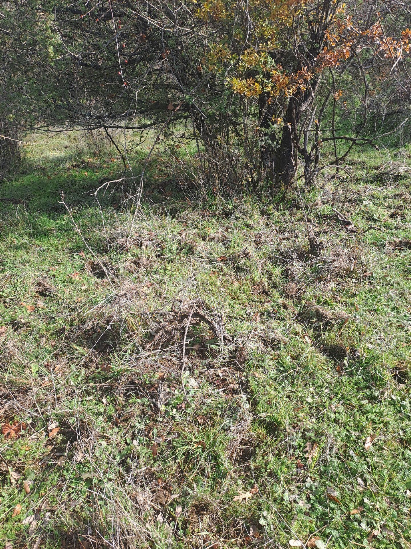 Akseki Usanmaz Emlaktan Satılık 662 M Bağ Yeri - Görsel 14