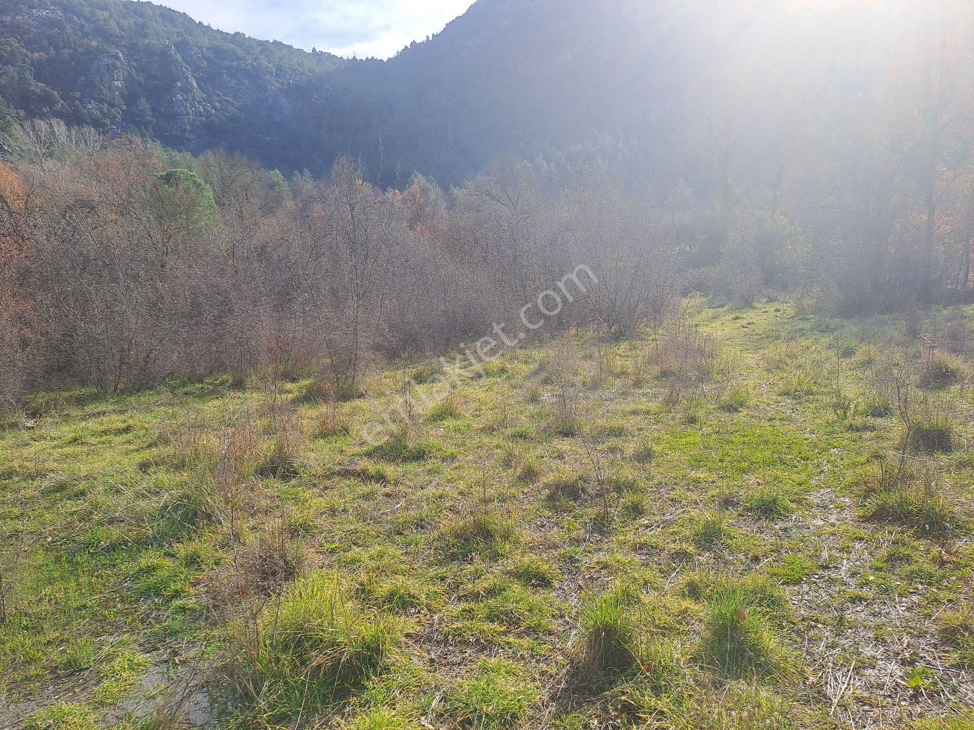 Akseki Usanmaz Emlaktan Satılık 662 M Bağ Yeri - Görsel 20