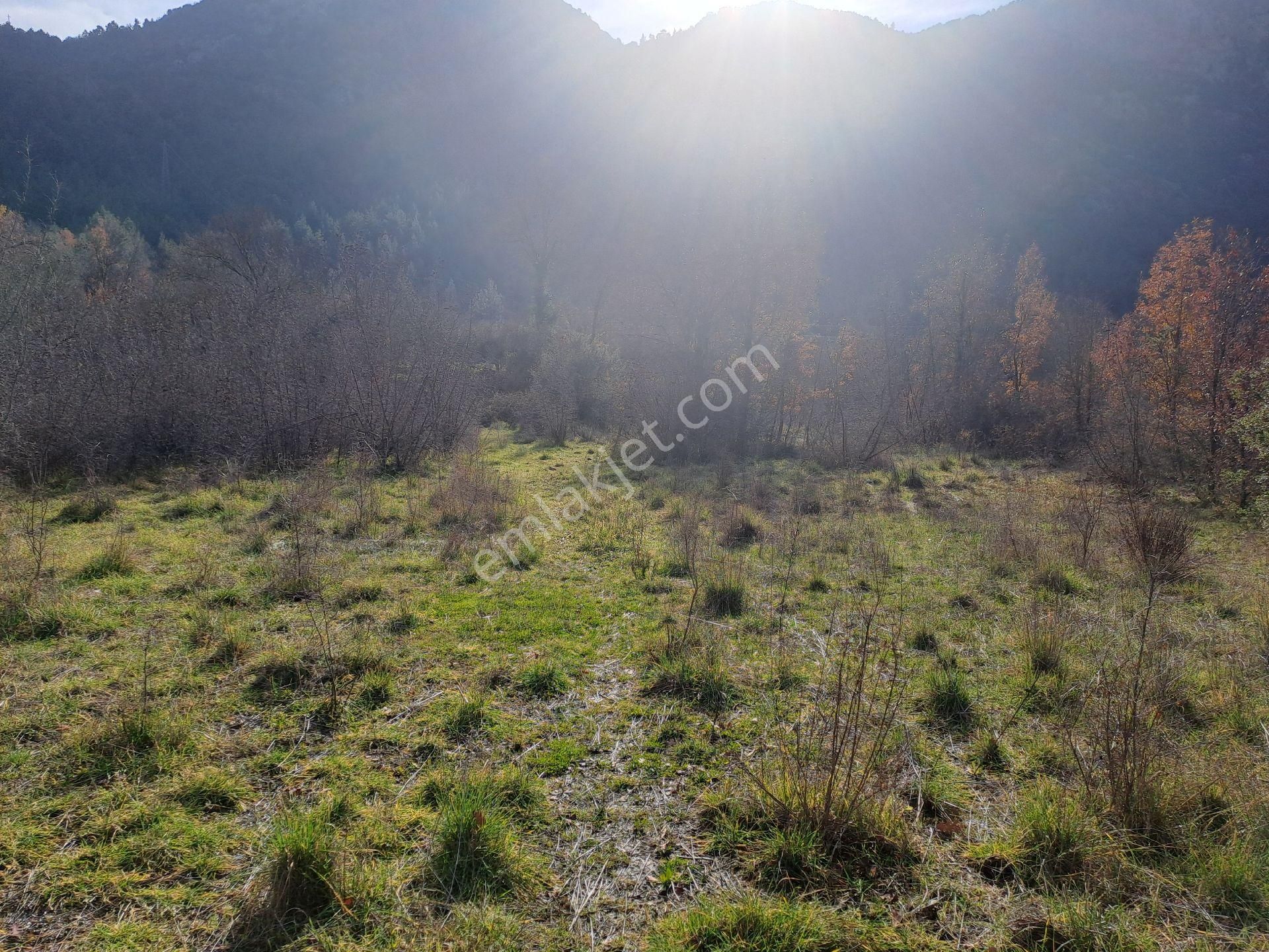 Akseki Usanmaz Emlaktan Satılık 662 M Bağ Yeri - Görsel 17