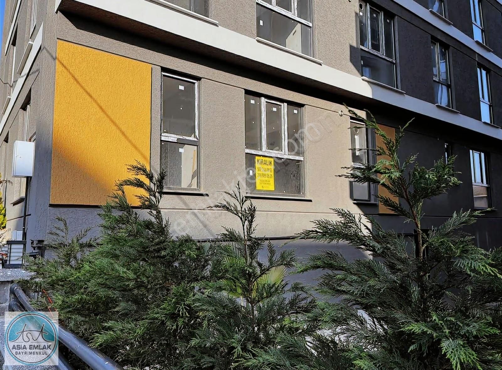 Asia Dan Gedik Üniversitesi Yakını Geniş 1+1 Kiralık Daire