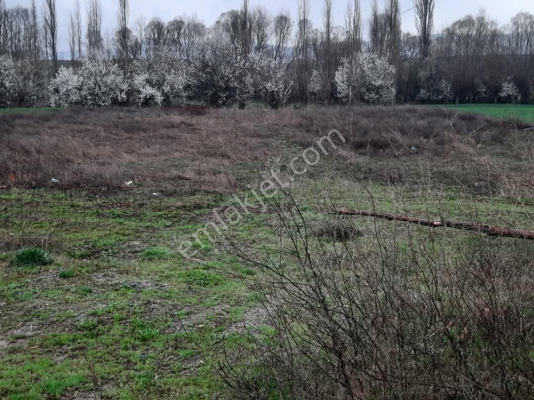 İşyeri Yapımına Uygun Ana Yola Sıfır Arazi - Görsel 11