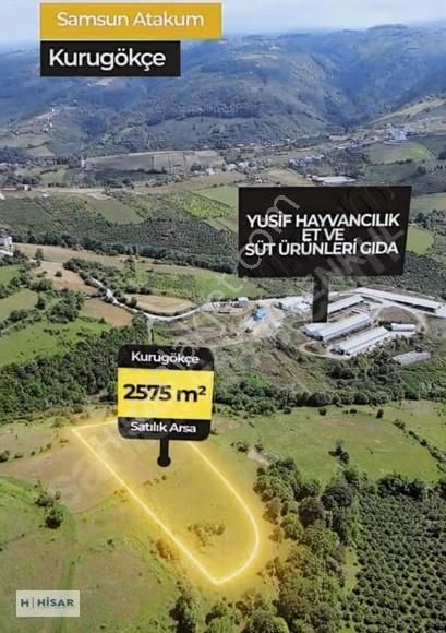 Hisar'dan Kurugökçe'de Yatırımlık Tarla 2575 M2