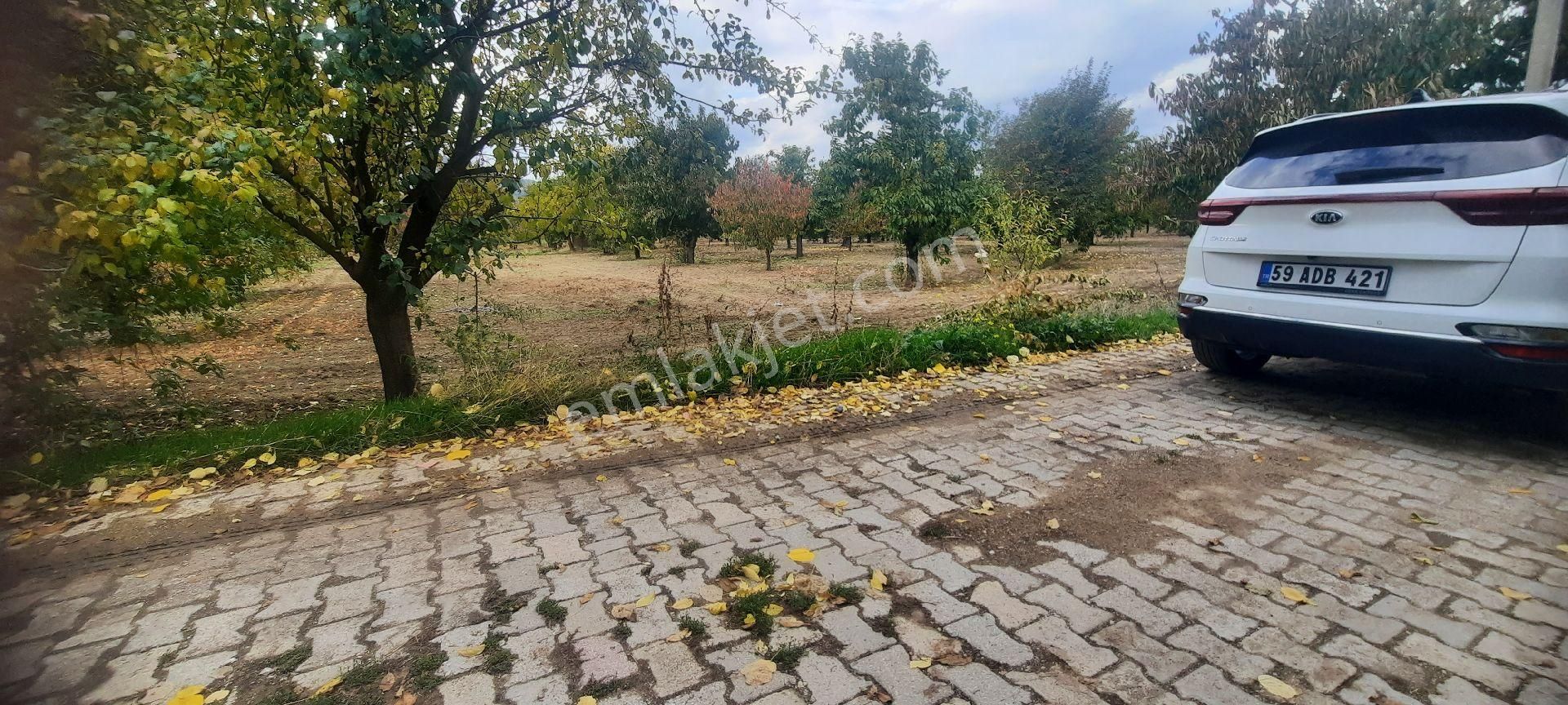 Villa Ve Müstakil Ev Yapımına Uygun Afyonun Gözde Mahallesi Çakırköyde - Görsel 3