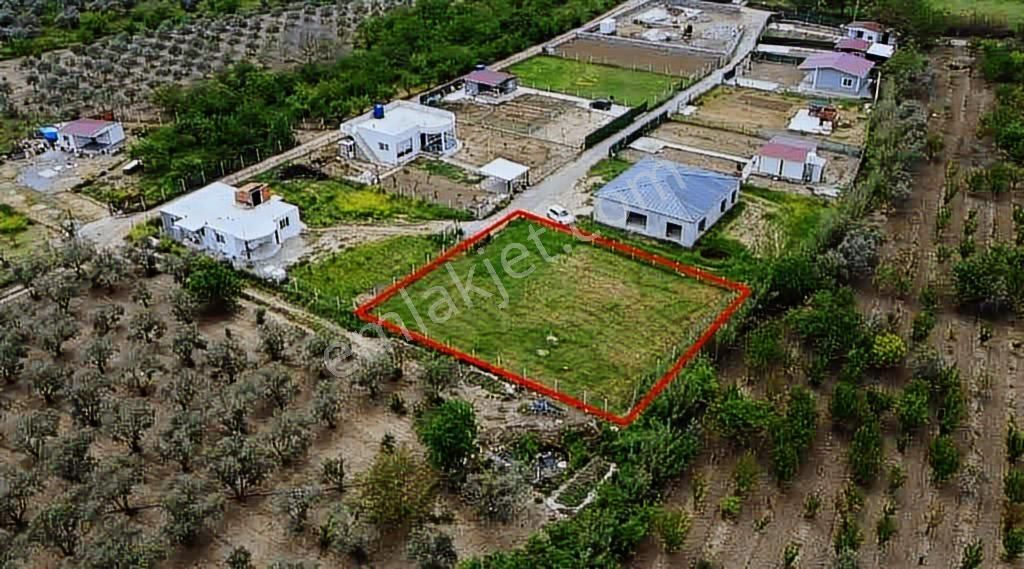 Kemalpaşa Merkeze Yakın Yatırım Fırsatı - Görsel 13
