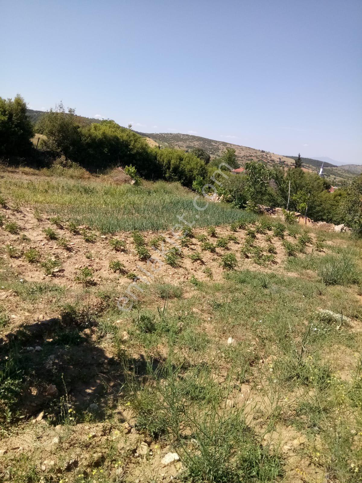Sahibinden Köy İçi Tarla - Görsel 6