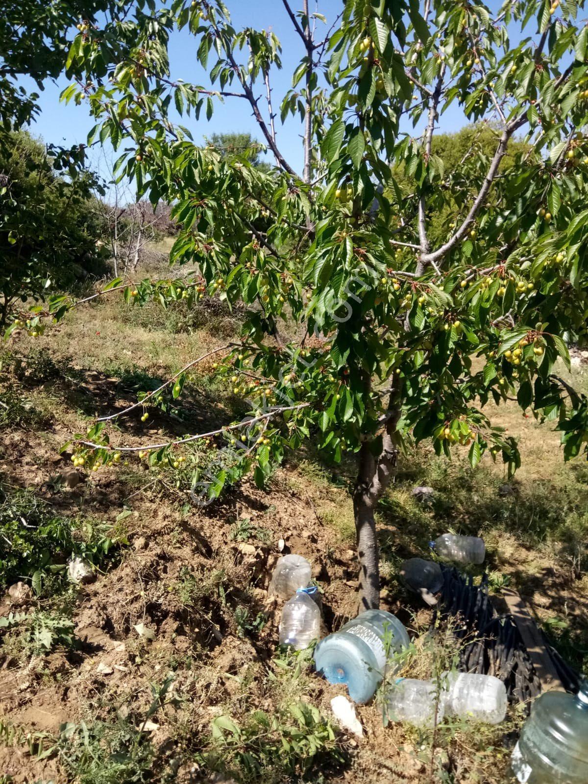 Sahibinden Köy İçi Tarla - Görsel 15