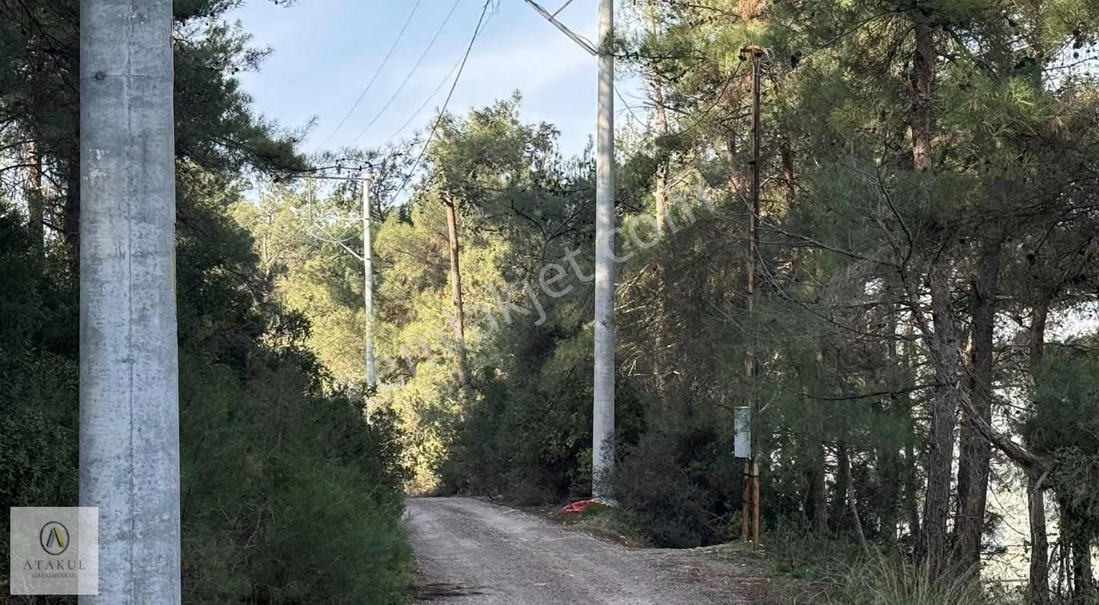 Atakul Gayrimenkul-batı Çıkışı'na 2 Dk 7.815 M2 Tek Tapu Arazi - Görsel 2