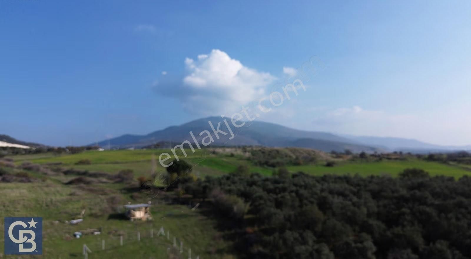 Şehitkemalde 375m2 Satılık Yolu Olan Tiny House Vb Konulabilen - Görsel 32