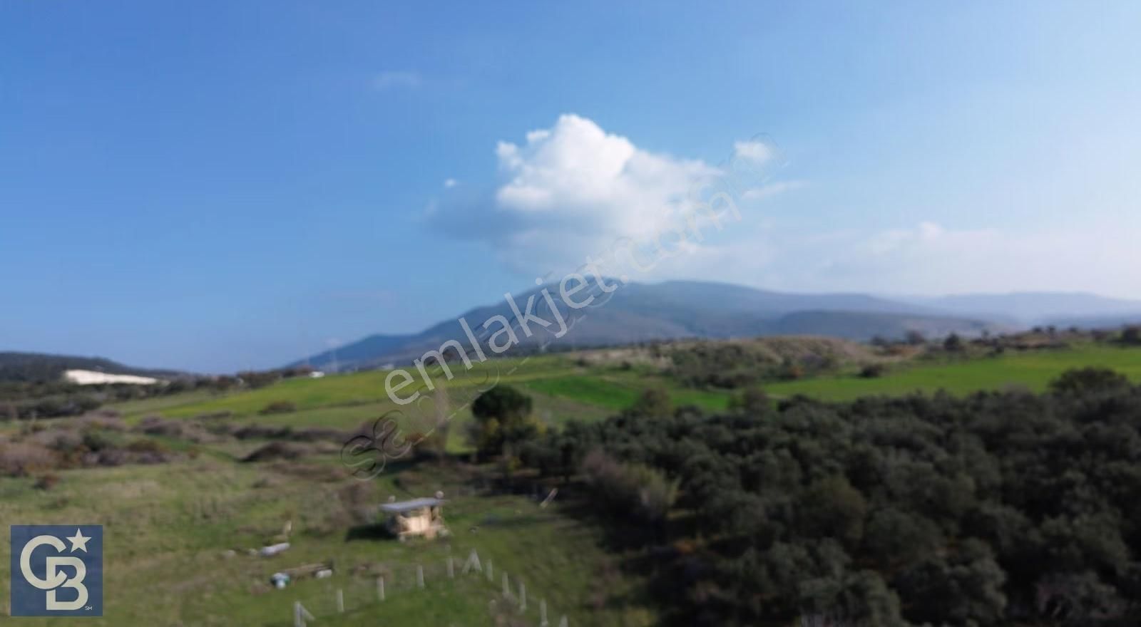 Şehitkemalde 375m2 Satılık Yolu Olan Tiny House Vb Konulabilen - Görsel 30