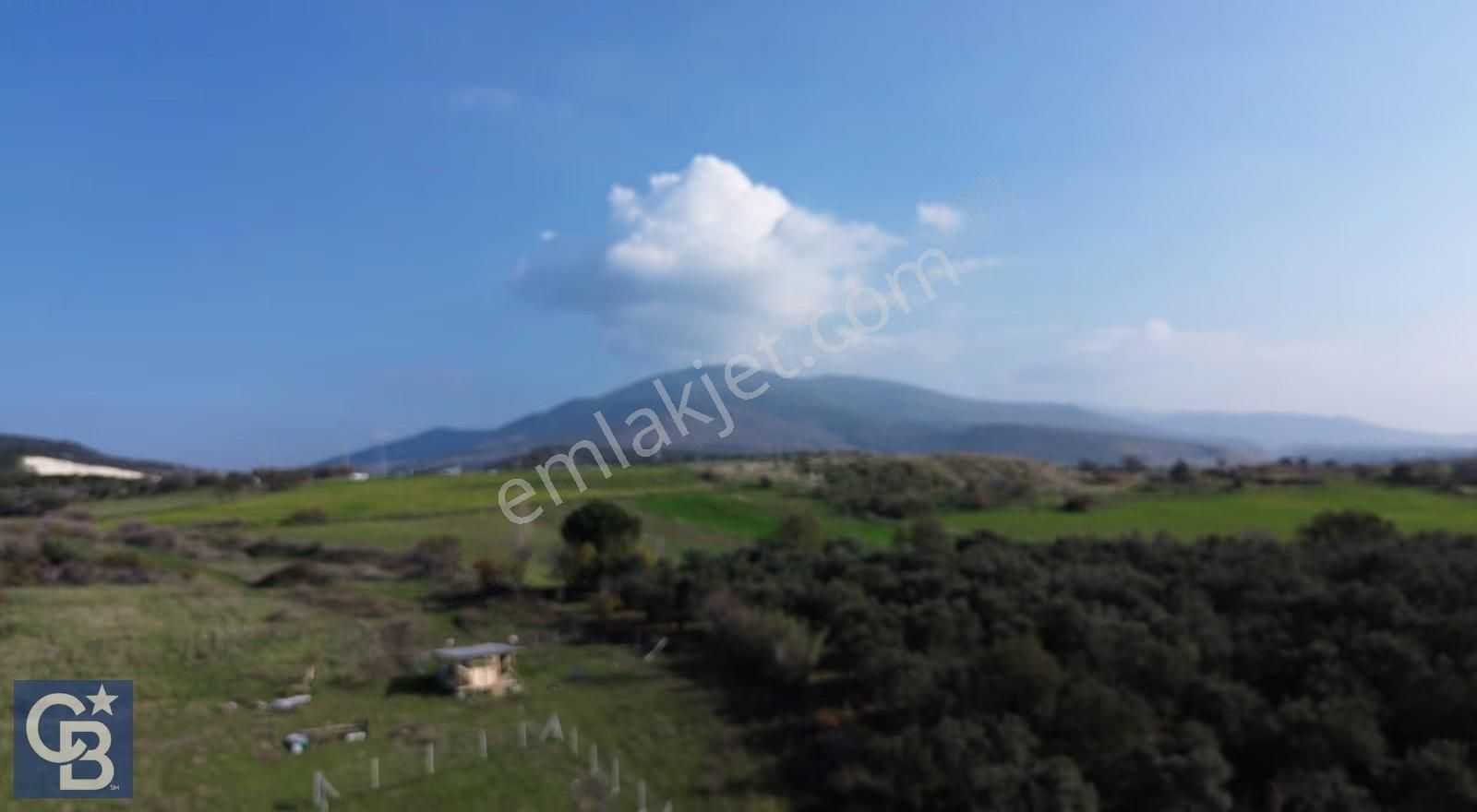 Şehitkemalde 375m2 Satılık Yolu Olan Tiny House Vb Konulabilen - Görsel 31