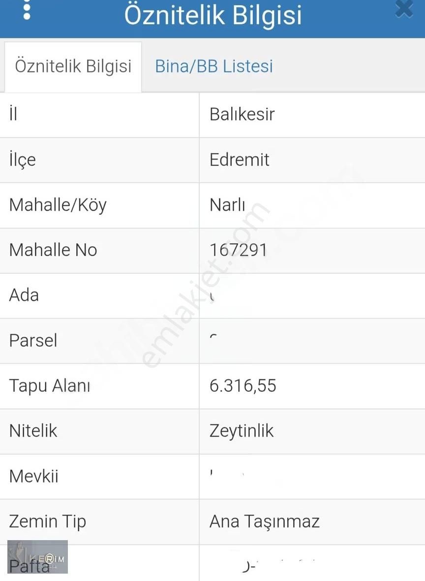 Kerim'den Gömeç Karaağaç'da Satılık 9113 M2 Yatırımlık Zeytinlik - Görsel 2
