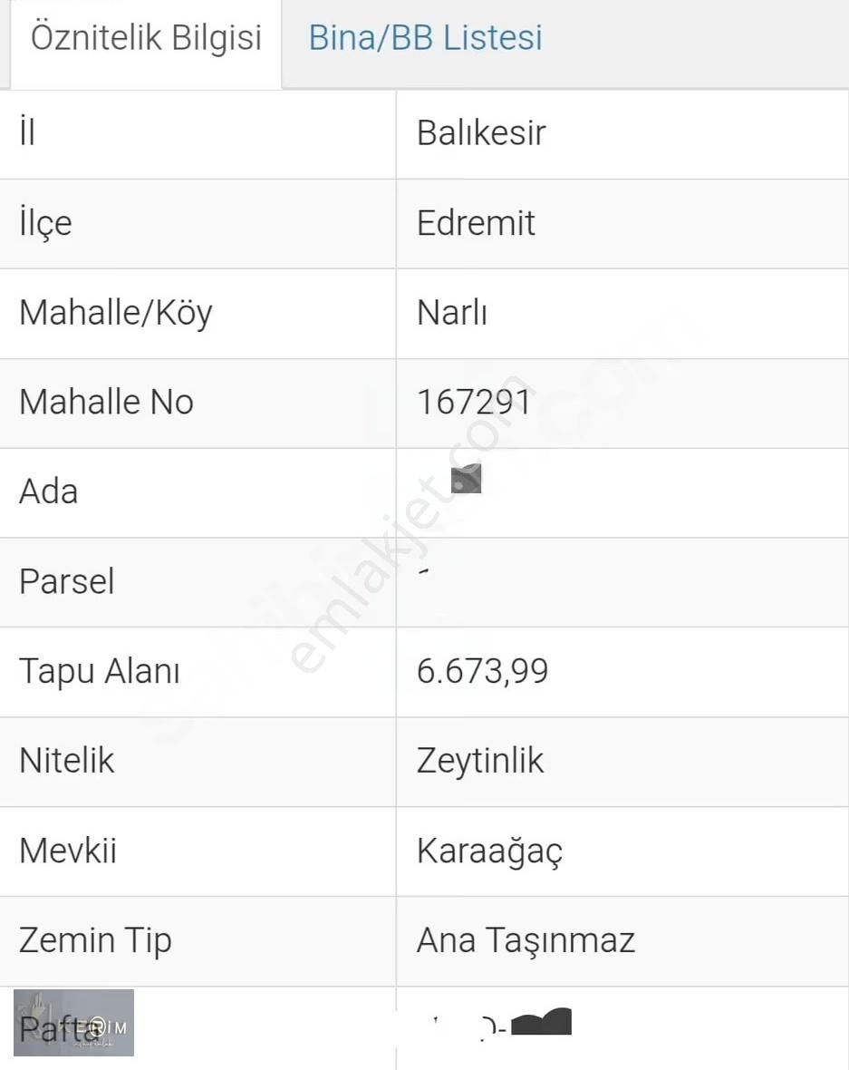 Kerim'den Gömeç Karaağaç'da Satılık 9113 M2 Yatırımlık Zeytinlik - Görsel 3