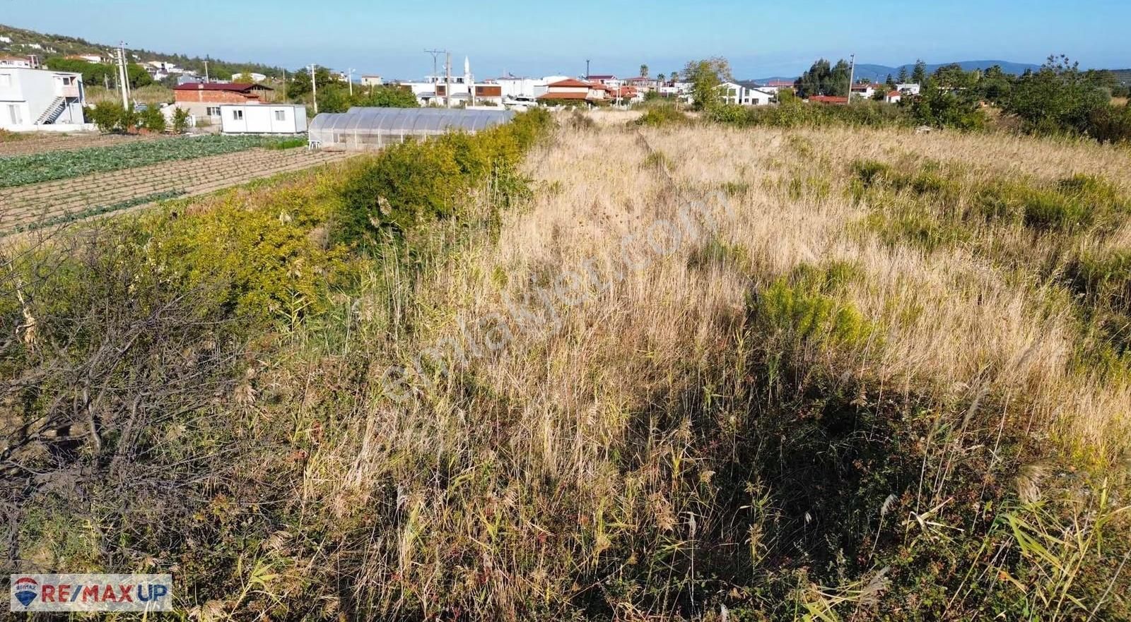 597 M² Köy Yerleşik Alanında Müstakil Tek Tapu Tarla