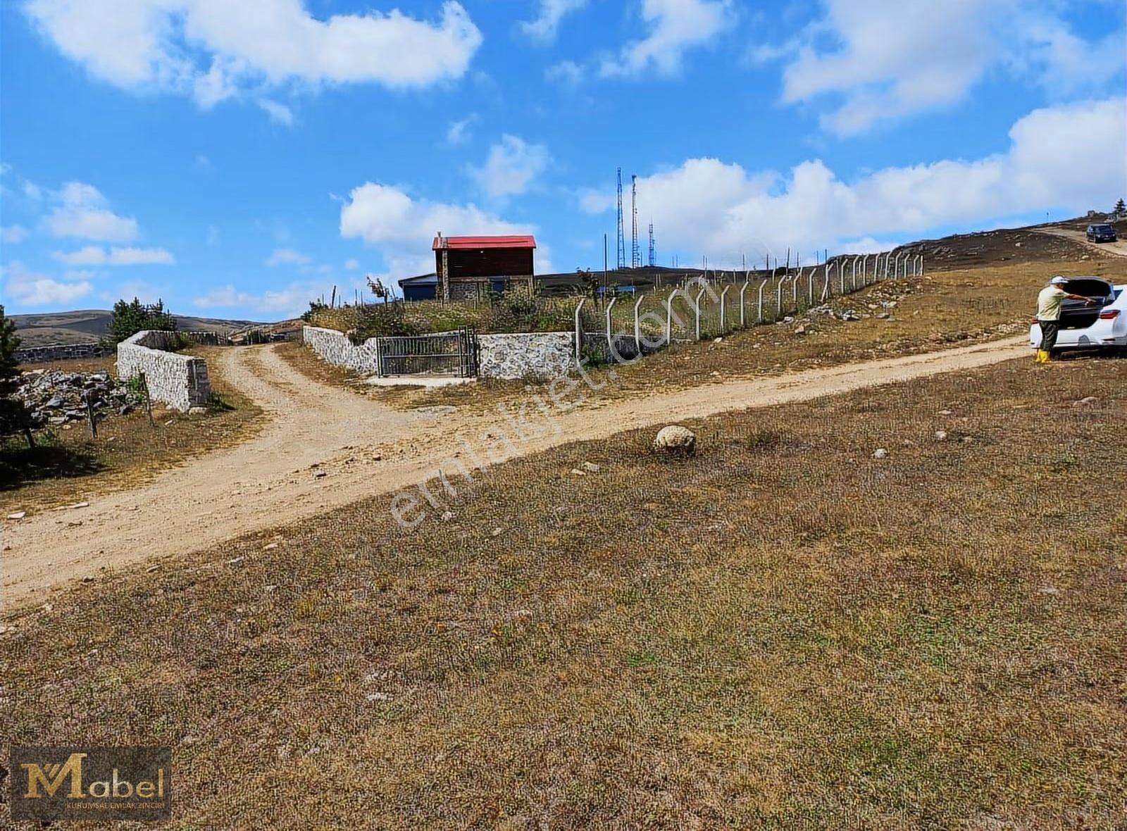 Mabel Gayrimenkul-kabadüz-çambaşı Yaylasında Satılık İmarlı Arsa - Görsel 3