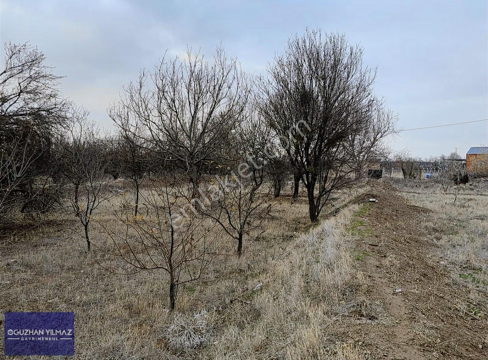 Oğuzhan Yılmaz'dan Yeni Çevre Yolu Üzeri Yatırımlık 2119'm2 Bağ
